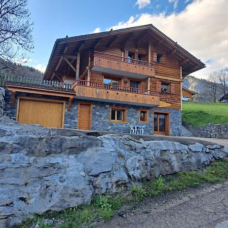 Appartement Cosy Face Aux Aravis Ле-Гран-Борнан Экстерьер фото
