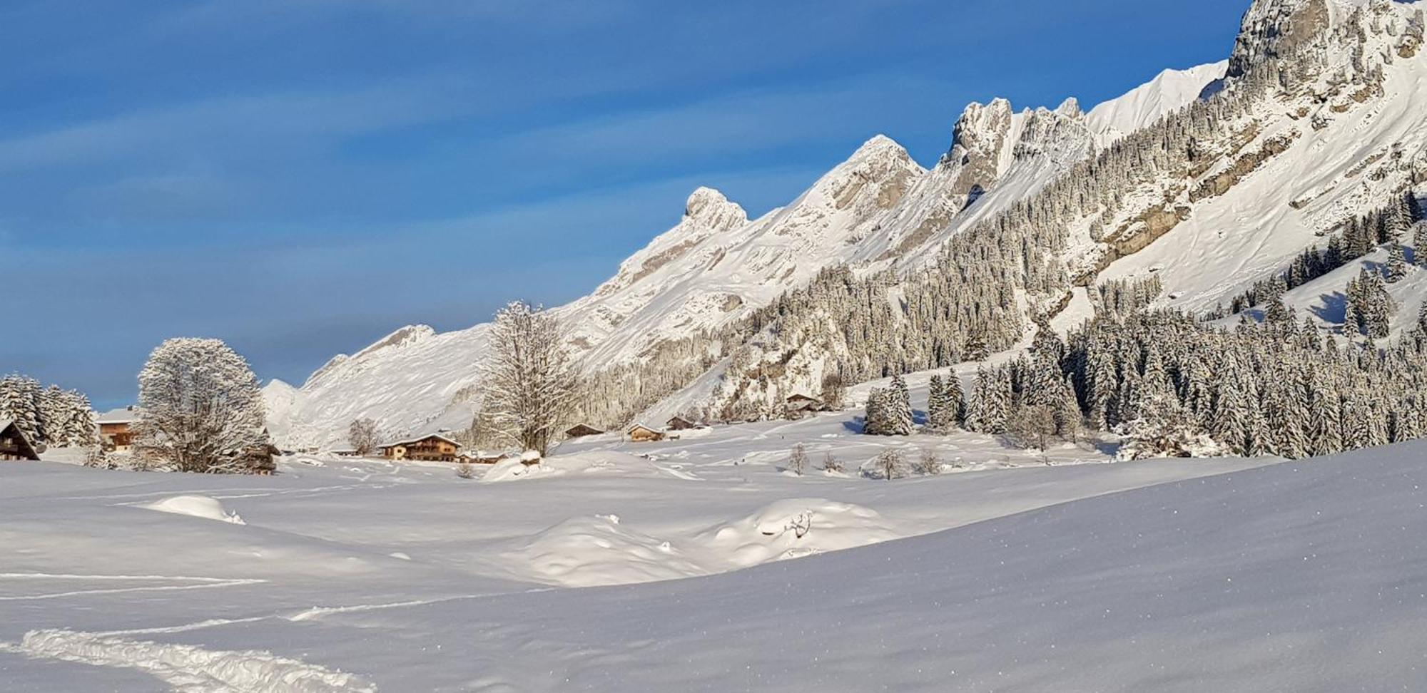 Appartement Cosy Face Aux Aravis Ле-Гран-Борнан Экстерьер фото